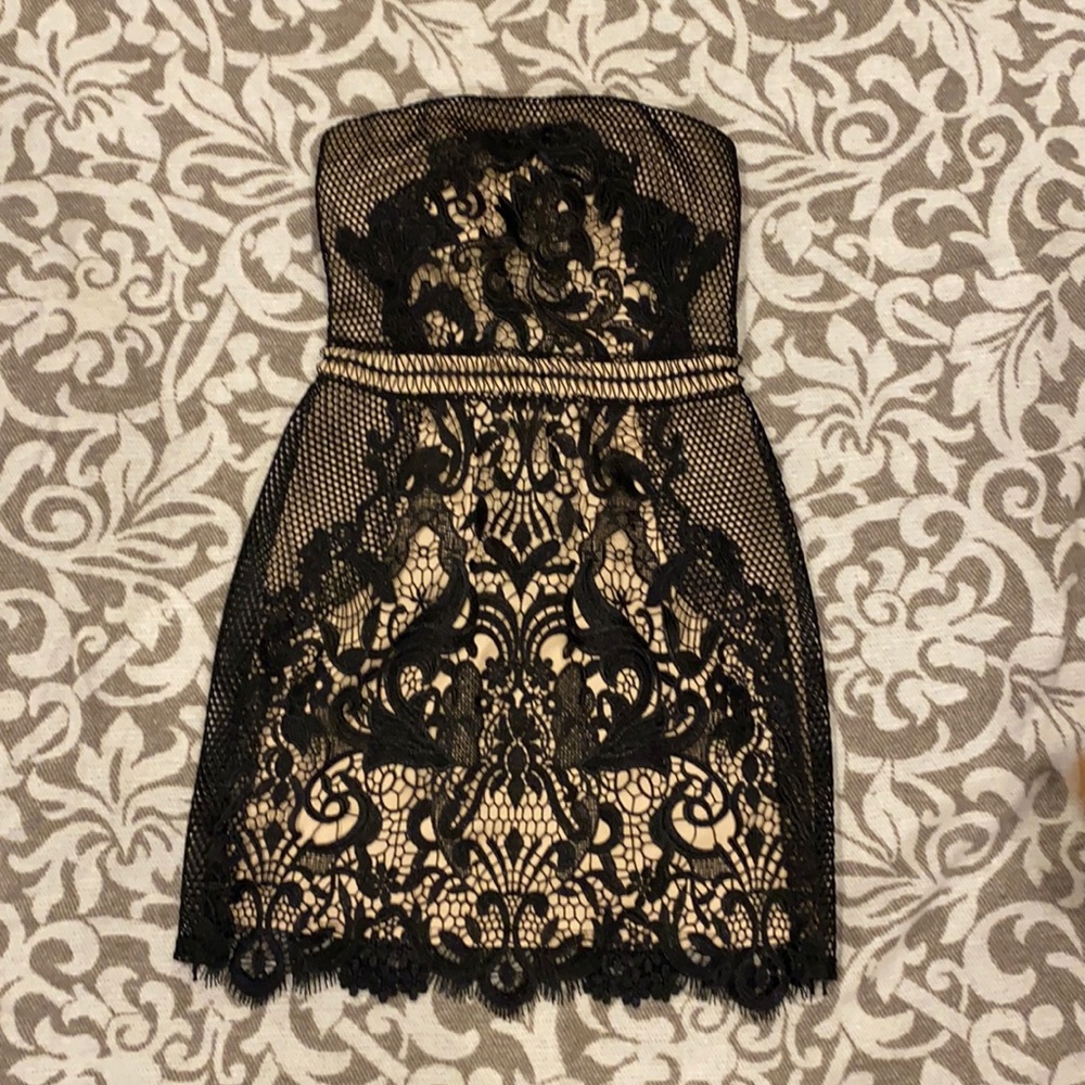 Express lace cocktail dress